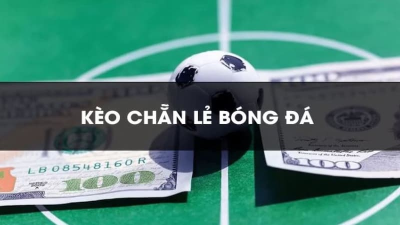 Cách bắt kèo chẳn lẻ - Bí quyết vàng cho người mới 2024