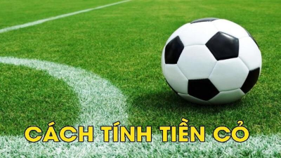 Cách tính tiền cỏ chuẩn cho cược thủ trong bóng đá chuẩn